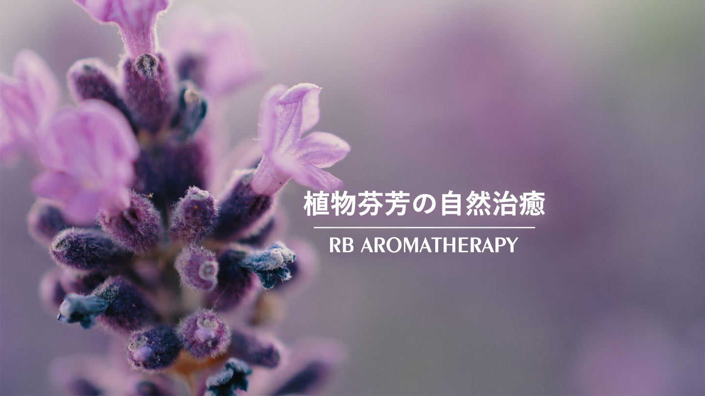 天然定香精油 Natural Fixatives REAL BOTANY